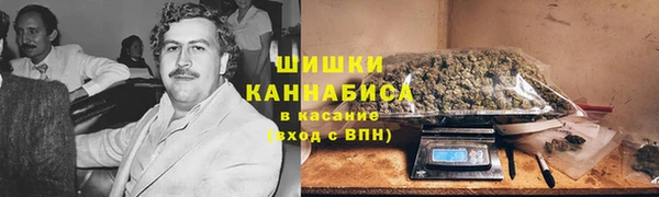 гидропоника Пересвет