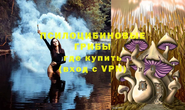 дурь Пестово