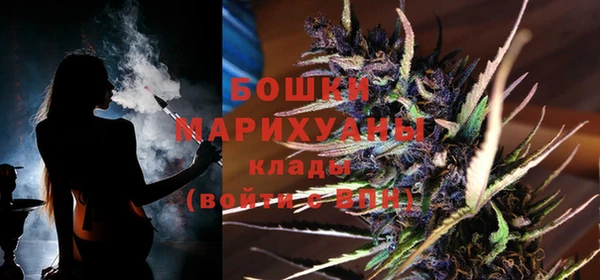 дурь Пестово