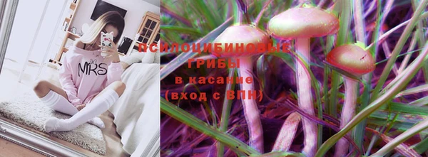 гидропоника Пересвет