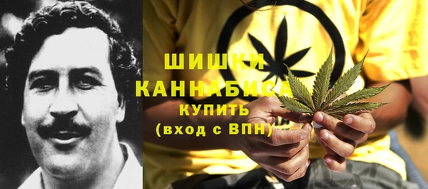 дурь Пестово