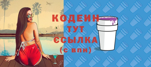 дурь Пестово
