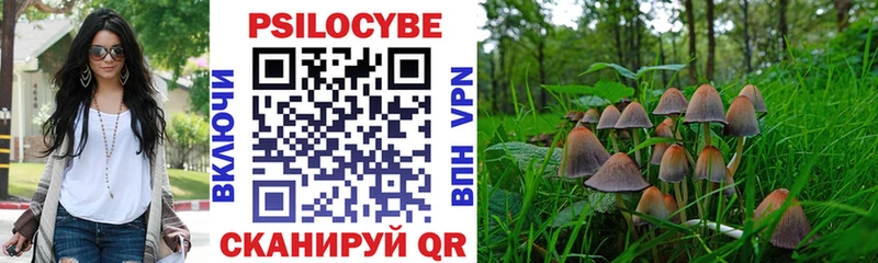 Псилоцибиновые грибы GOLDEN TEACHER  Петровск 